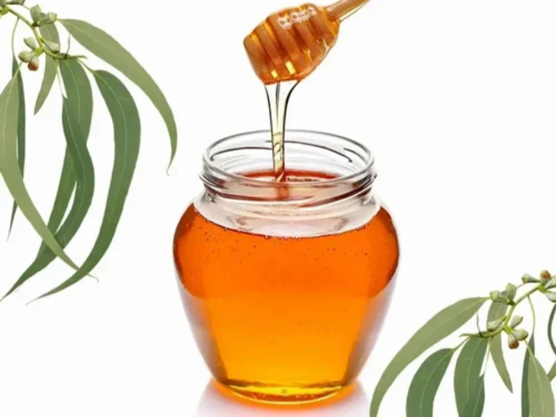 eucalyptus honey.webp